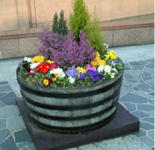 寄せ植え（大）